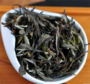 福鼎白茶核心产区有哪些（管阳白茶和磻溪茶的区别）