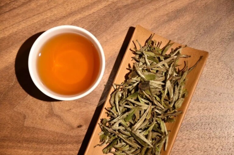 如何鉴别老白茶品质的优劣？做旧老白茶的辨别方法